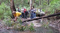 11-Convoy watches as the tree is quickly cut away